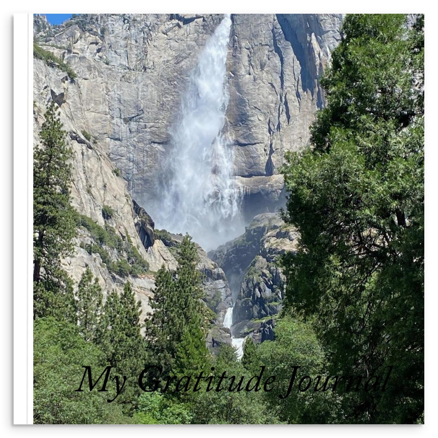 749e95c4-5bdc-4434-8b24-40a37fc96965