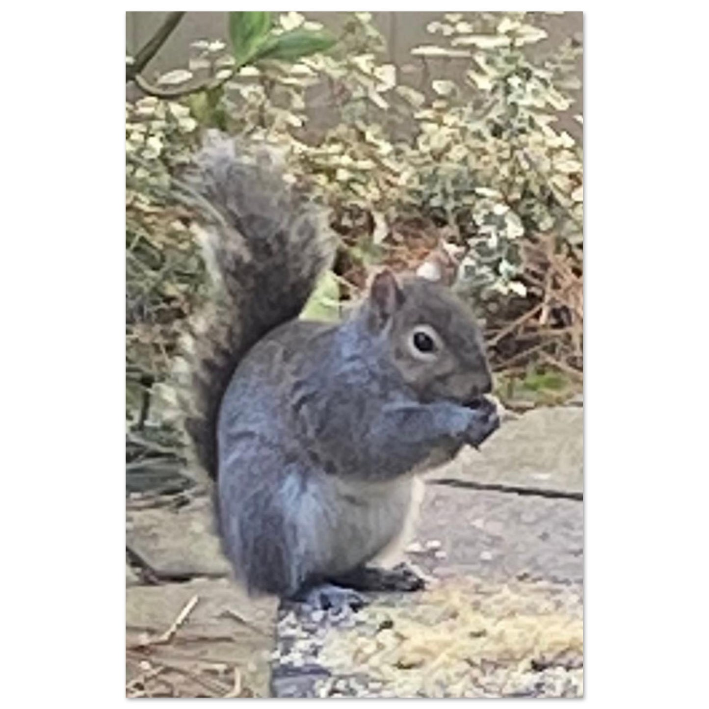 e8c8fda5-ccb3-4691-84ec-d0d68bbdc8d9