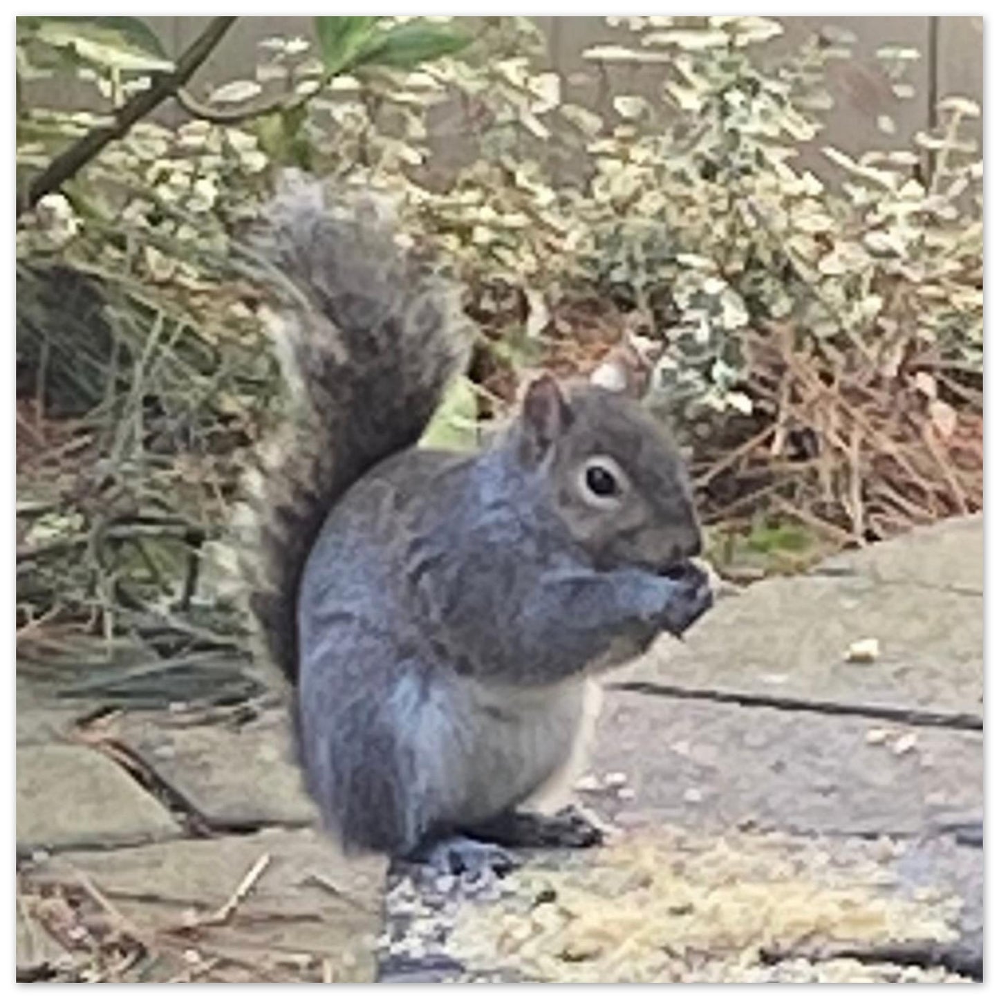 00fe6e44-5531-41d2-9f0b-5388f19642f7