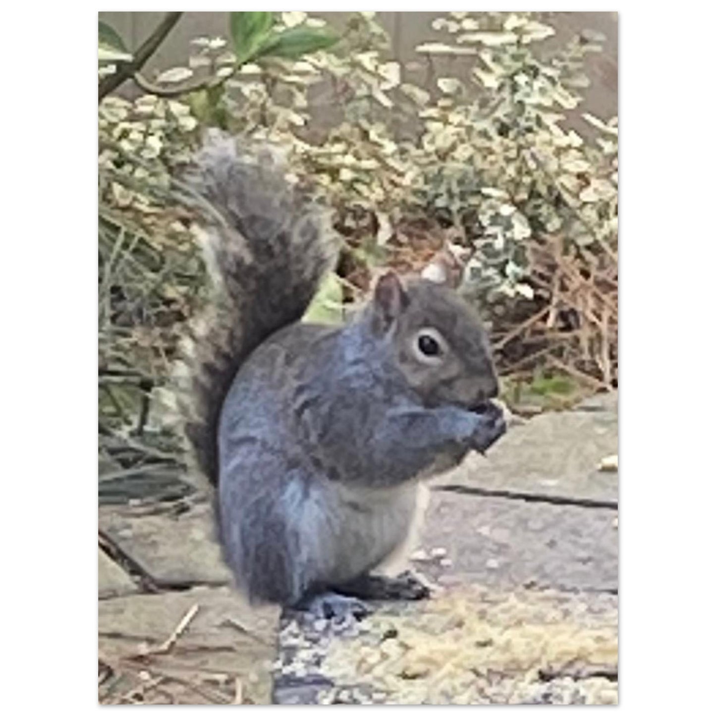 1f2079c7-8615-4269-ba06-3026f09b7731