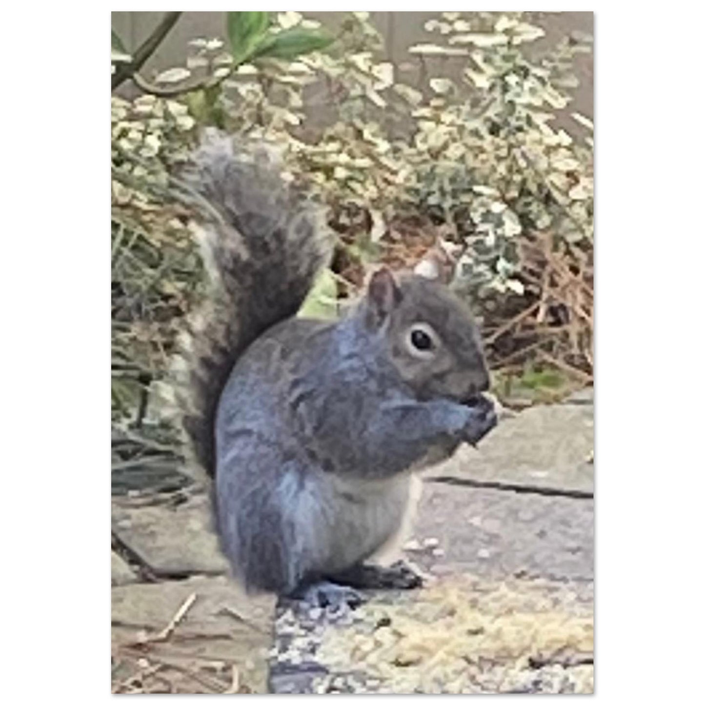 284ae75d-18c1-4ffc-aeaf-ebe454eaa4d6