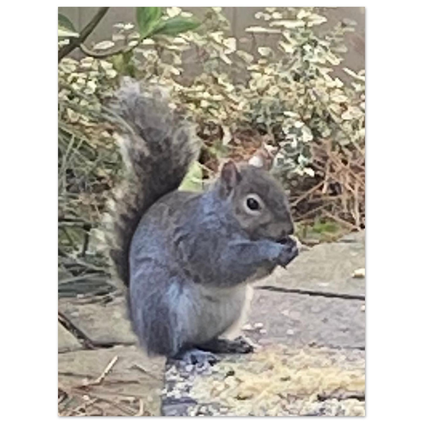 2f897641-d5a0-46cb-8616-989db9d18ee8