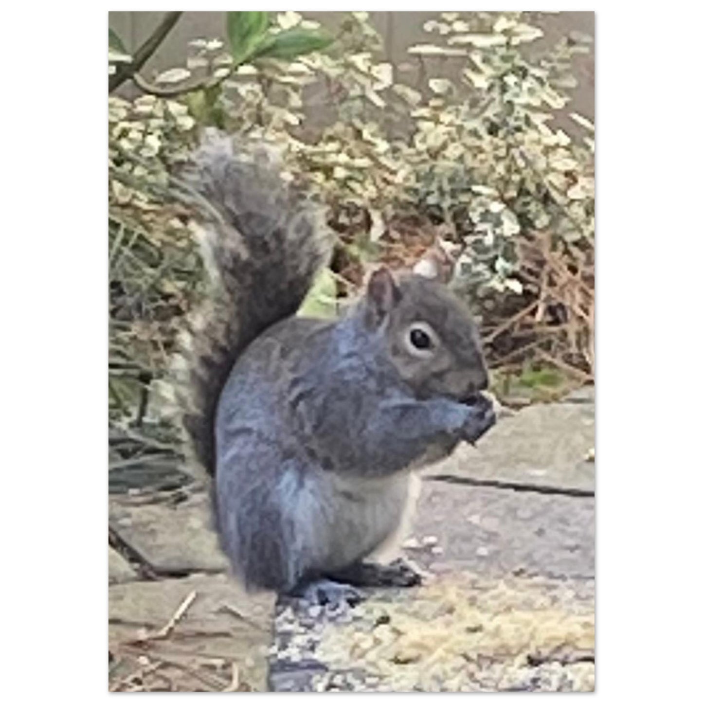 447a5057-2b9c-42df-9b71-db27689ad63a