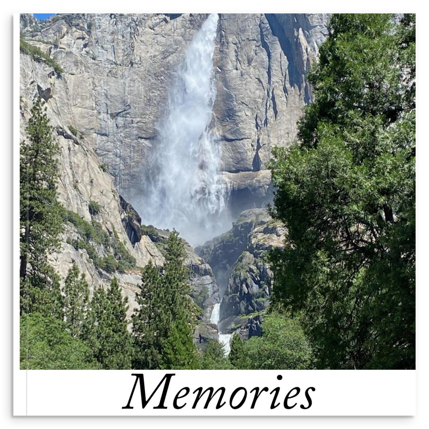 4fefa68b-063c-45f0-a79f-611ba11edc0c