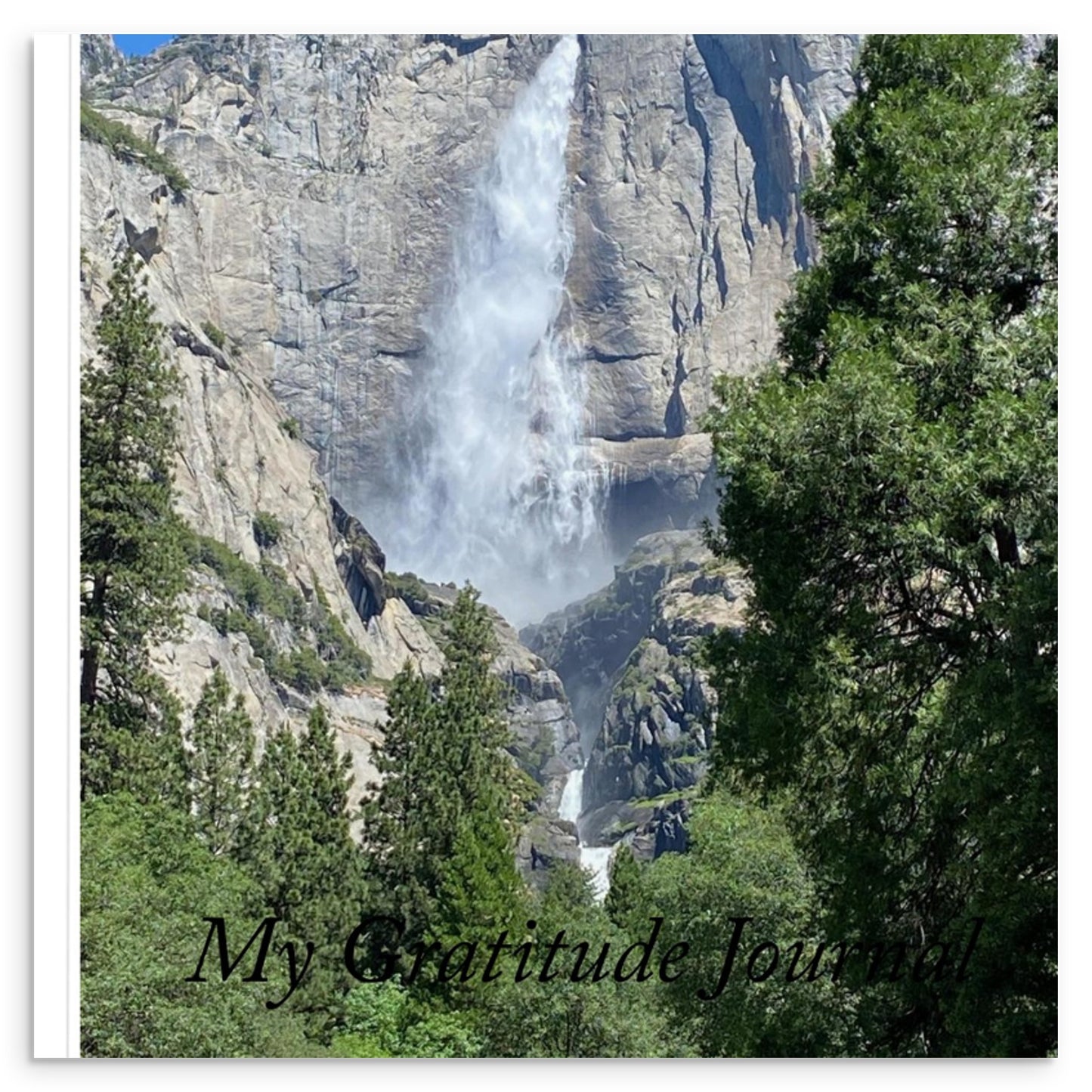 50371c14-e15a-4aa9-b635-2b051b1c4ea3