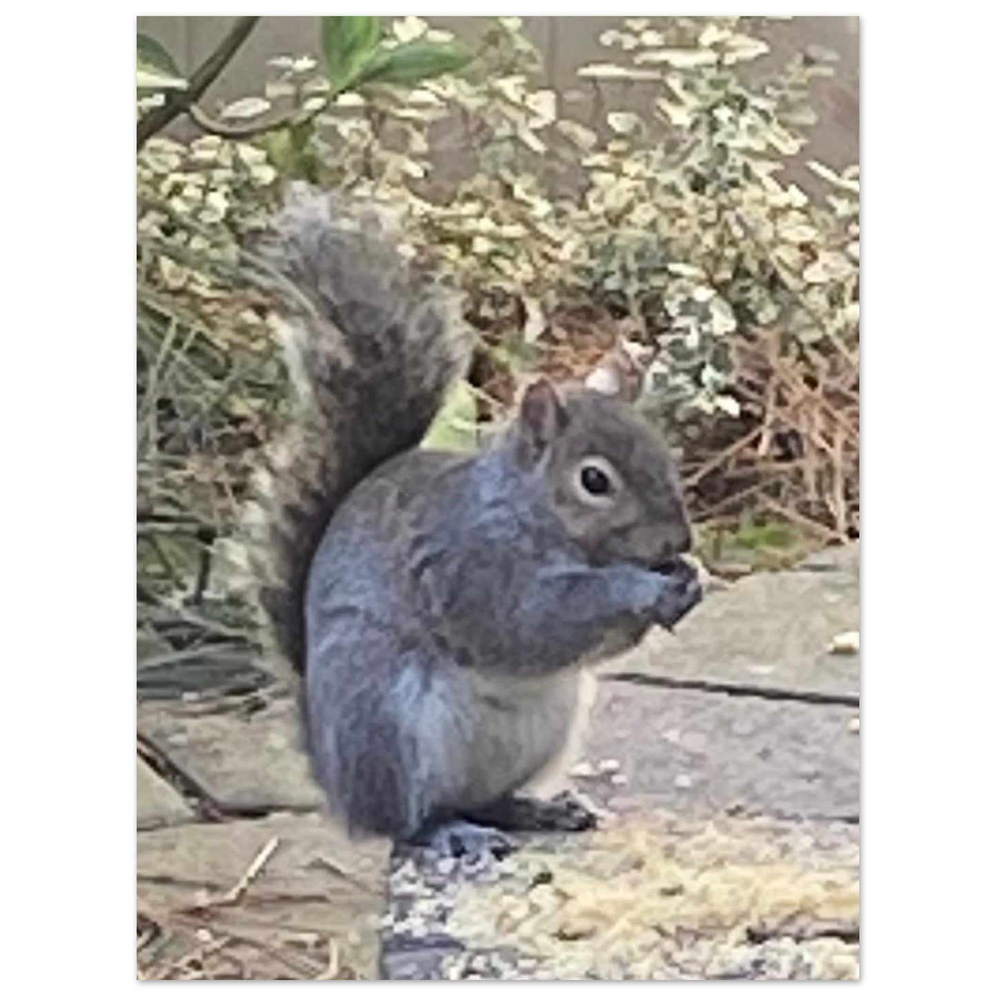 6d301f0e-fe00-48b2-814e-659edba200a1