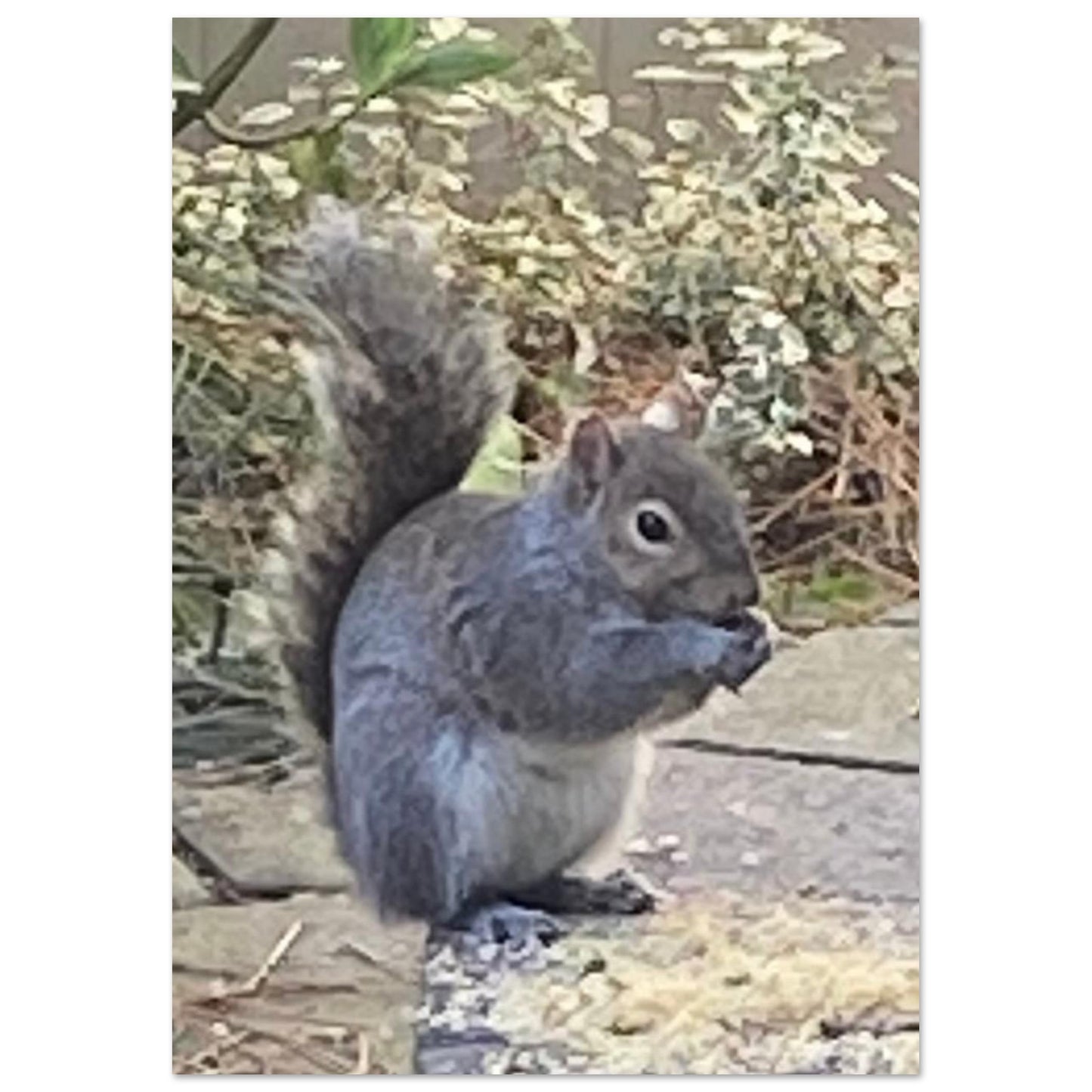 865a2765-b583-4483-b95a-9177662ccf4d