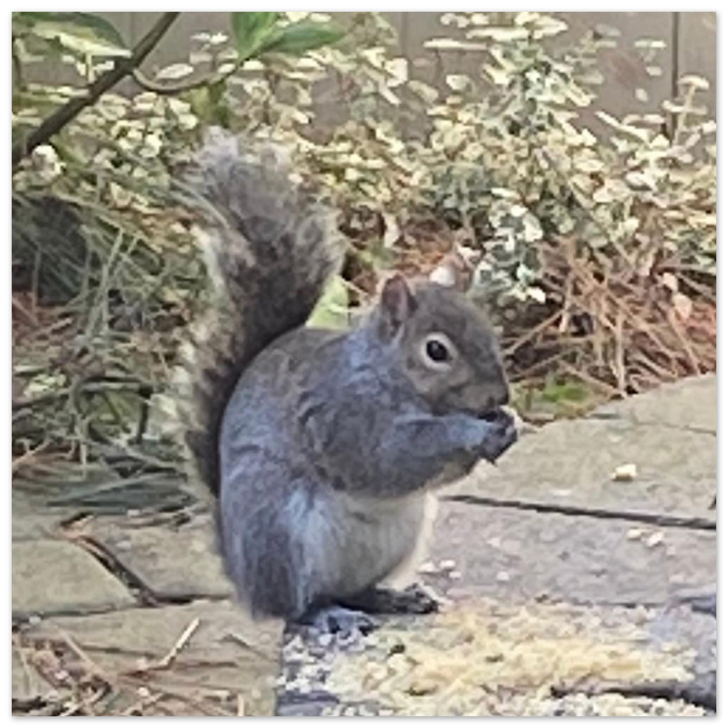 8d4589ea-3edd-4305-9bb0-a249161fcca4