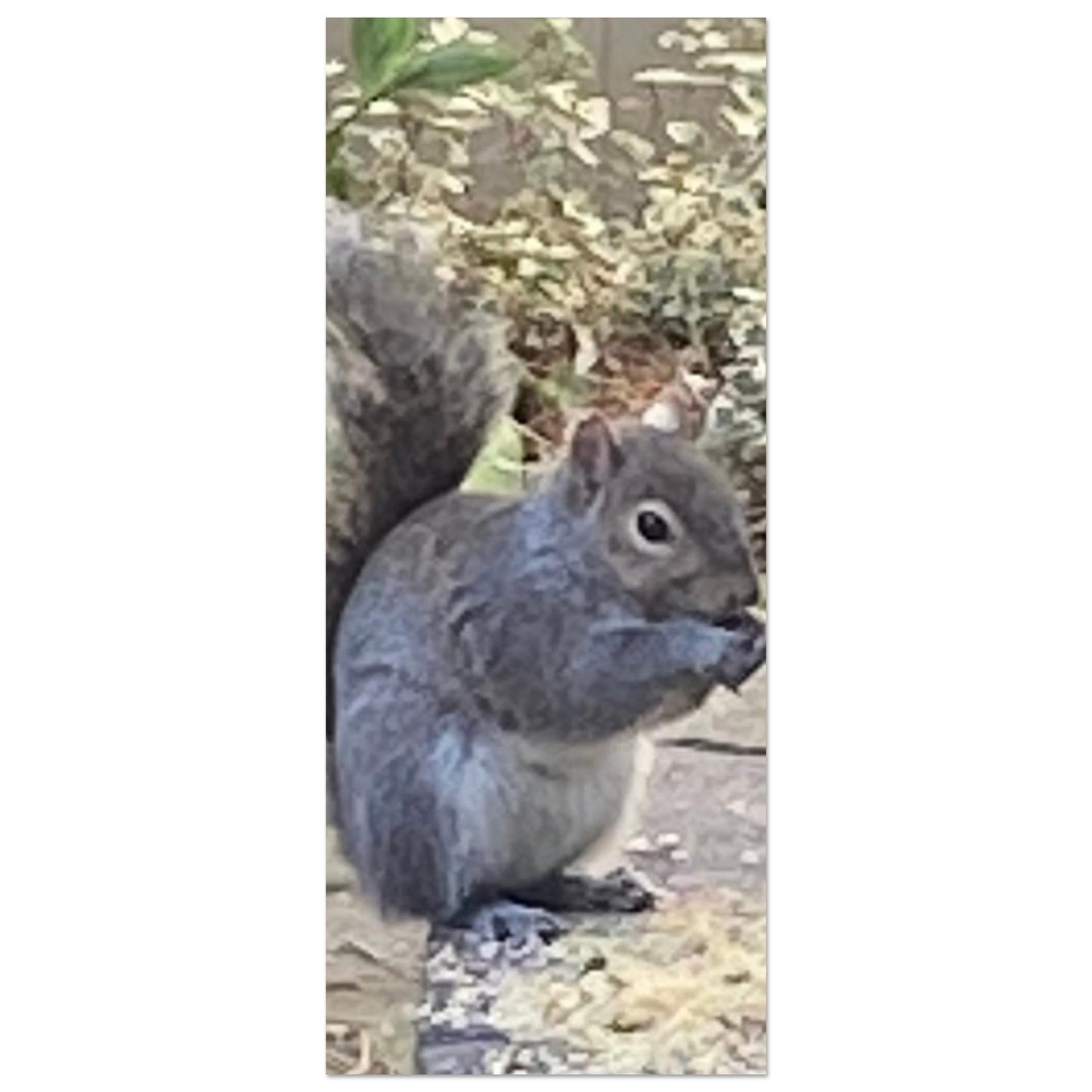 a108f10f-5a51-4dd9-9c2c-d66bcb95f088