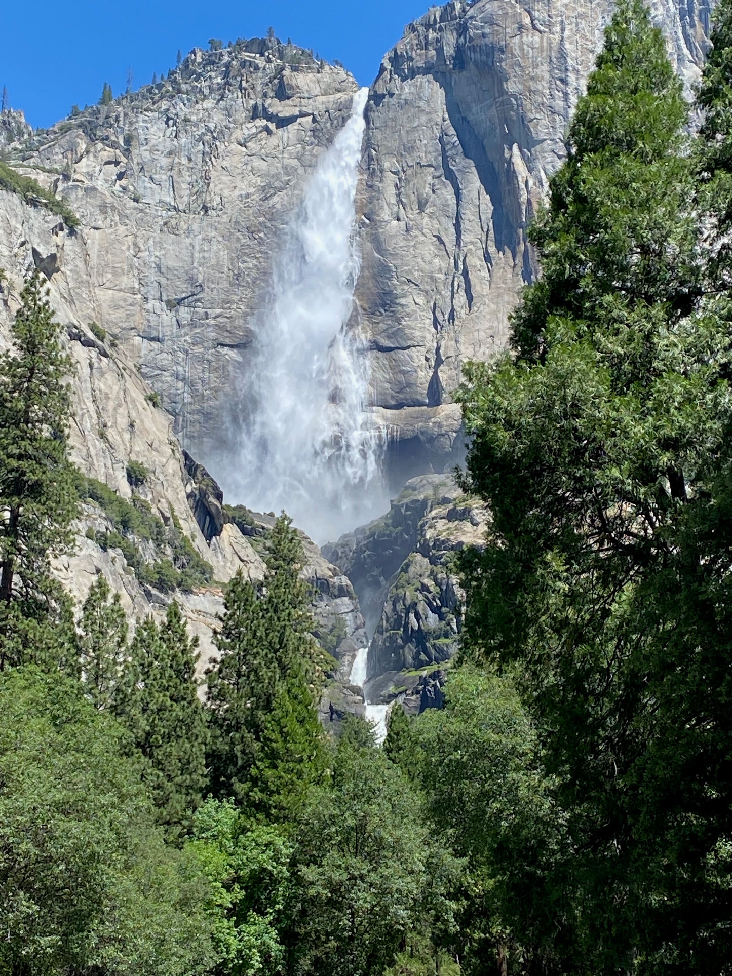 bf8581de-47f7-462d-ad81-dc856078f1cd