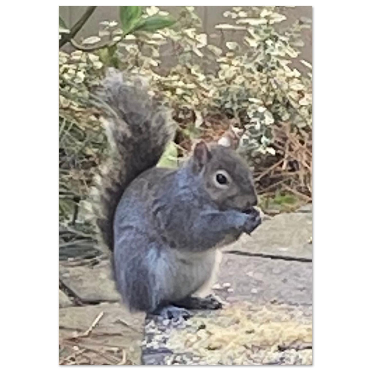 e1cca391-eb8c-4c6b-a54a-29123ded0fe3