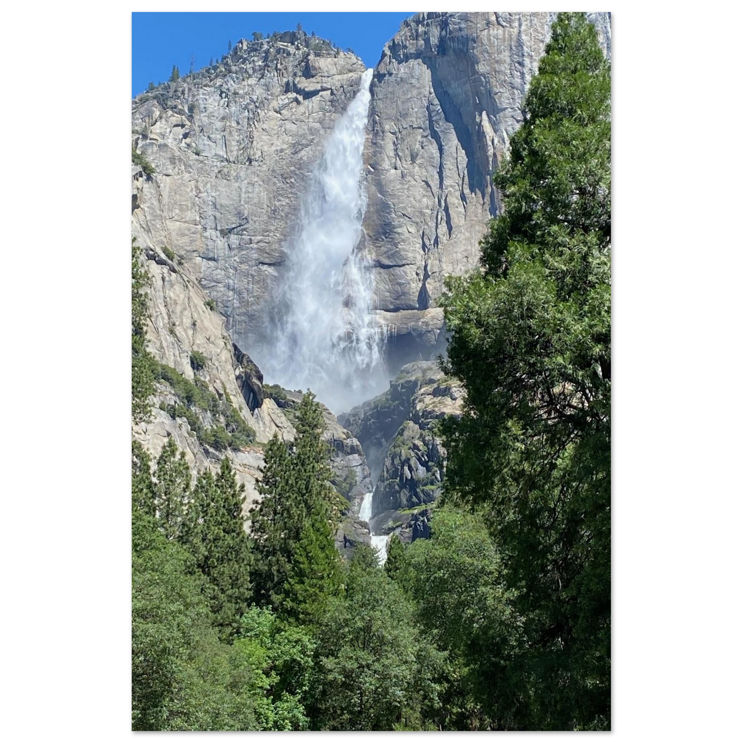 eb652425-cfb9-4cbe-9af5-cbe293ed36af