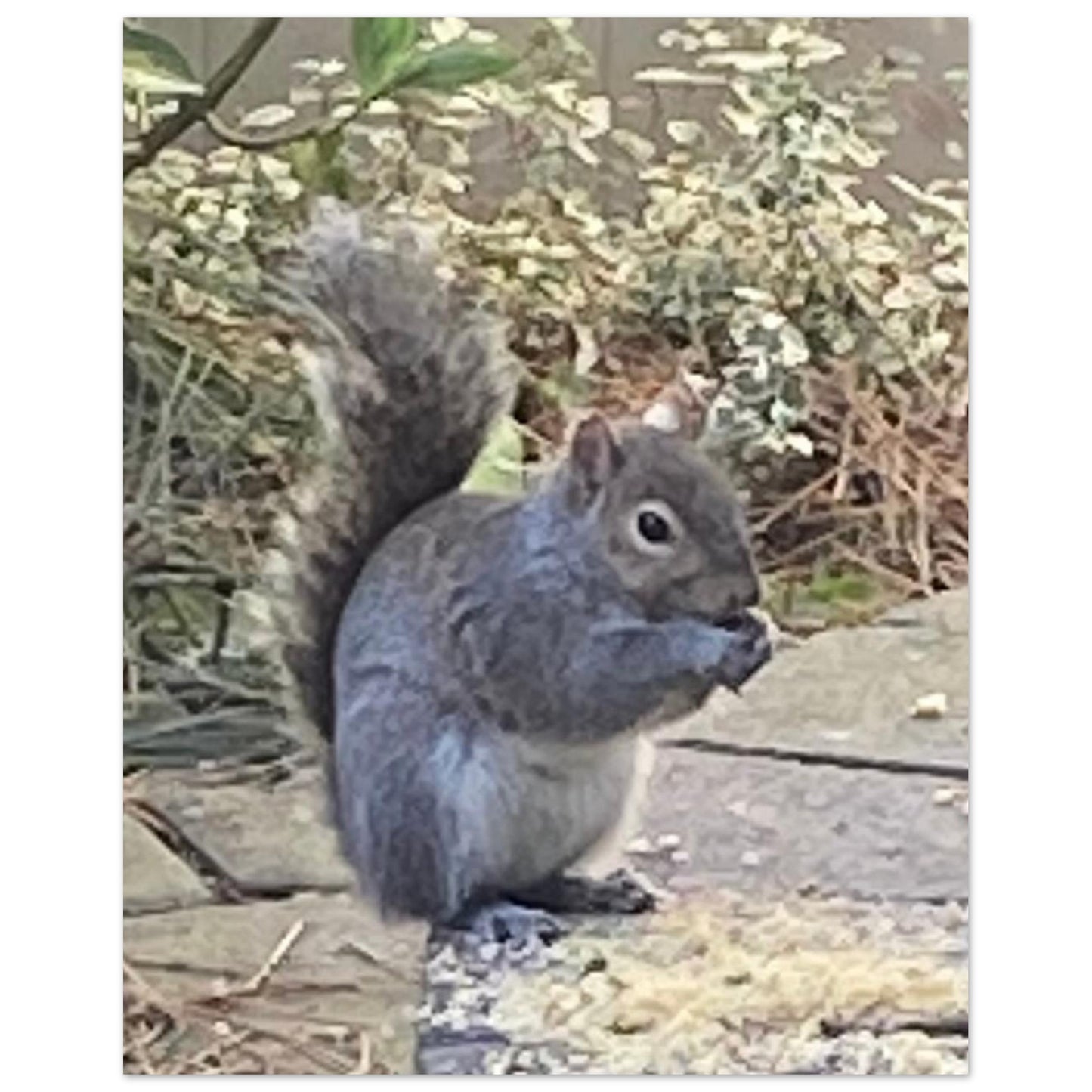 f4df1a4b-2195-479e-b15a-51fb06198513